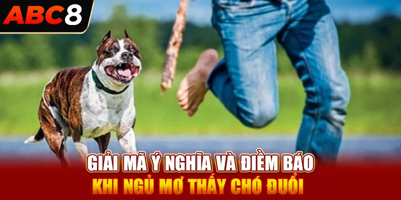 Giải Mã Ý Nghĩa Và Điềm Báo Khi Ngủ Mơ Thấy Chó Đuổi