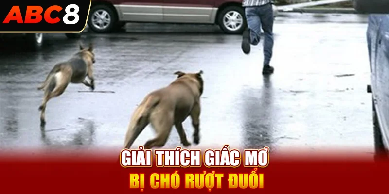 Giải thích giấc mơ bị chó rượt đuổi