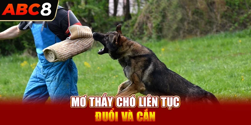 Mơ thấy chó liên tục đuổi và cắn