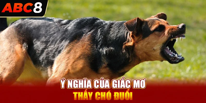 Ý nghĩa của giấc mơ thấy chó đuổi